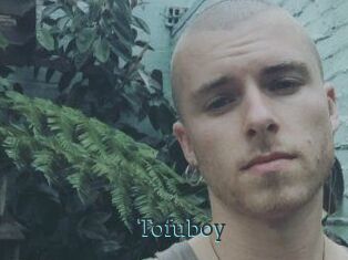 Tofu_boy