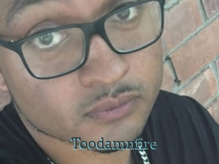 Toodamnfire