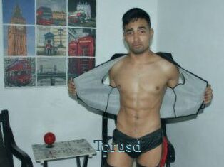 Torusd