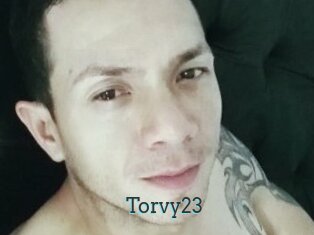 Torvy23