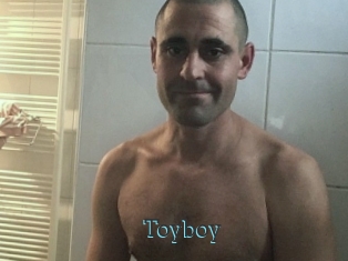 Toyboy