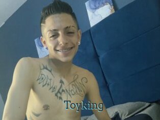 Toyking