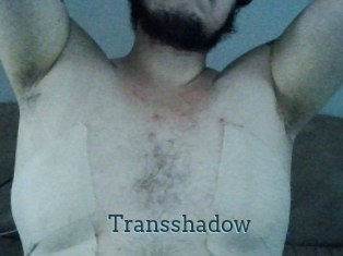 Transshadow
