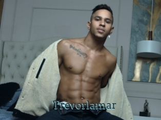 Trevorlamar
