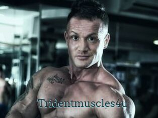 Tridentmuscles4u