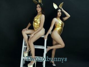 Twohotbunnys