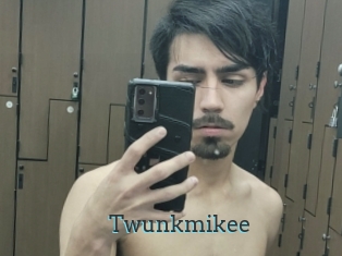 Twunkmikee