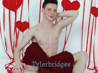 Tylerbridges
