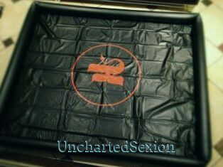 UnchartedSexion