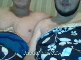 UncutPenis0214
