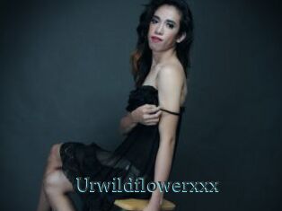 Urwildflowerxxx