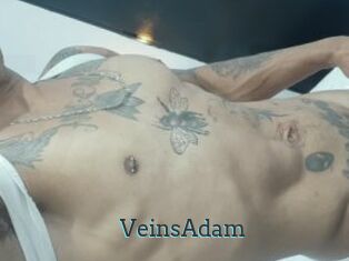 VeinsAdam