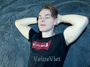VeinsViet