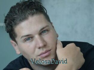 VelosaDavid