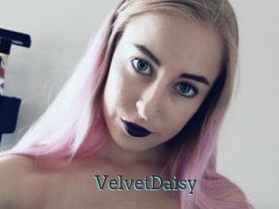 VelvetDaisy