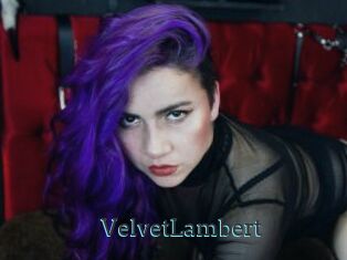 VelvetLambert