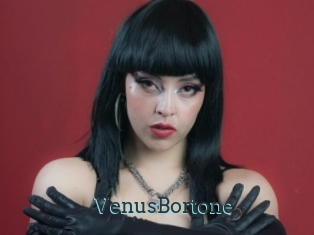 VenusBortone