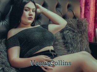 VenusCollins