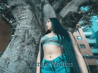 Venus_Walton