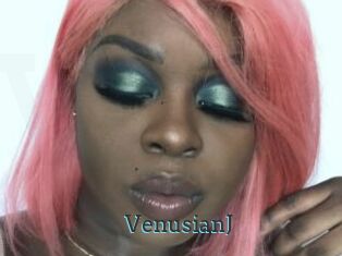 VenusianJ