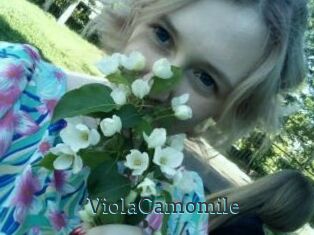 ViolaCamomile
