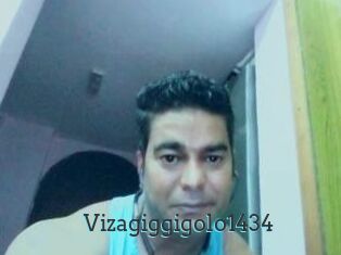 Vizagiggigolo1434