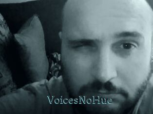 VoicesNoHue