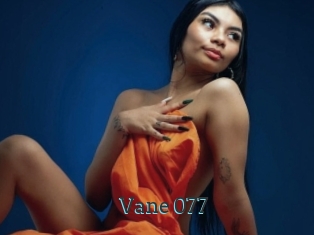Vane_077