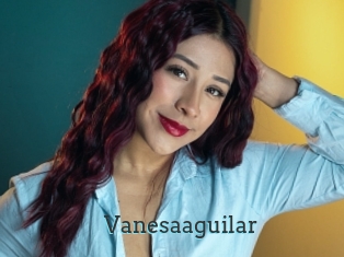 Vanesaaguilar