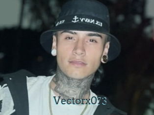 Vectorx073
