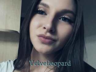 Velvetleopard