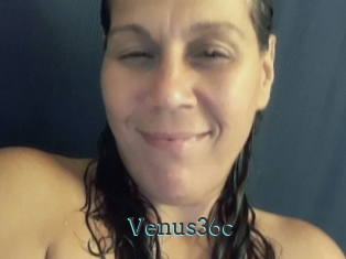 Venus36c