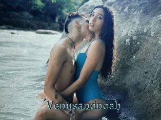 Venusandnoah