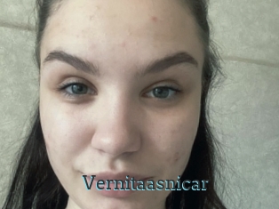 Vernitaasnicar