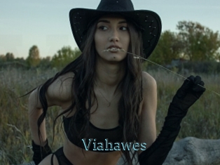 Viahawes