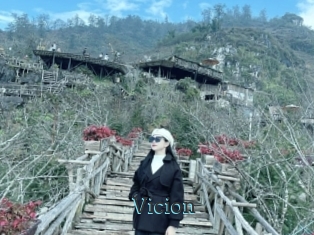 Vicion