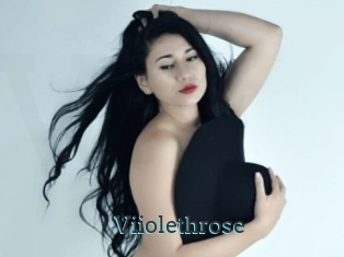 Viiolethrose