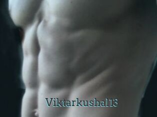 Viktarkushal13