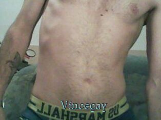 Vincegay