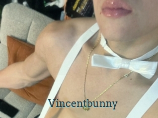 Vincentbunny