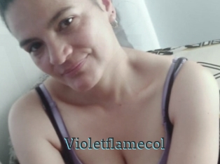 Violetflamecol