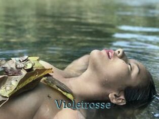 Violetrosse