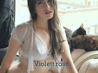 Violett_rose