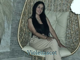 Violettascot
