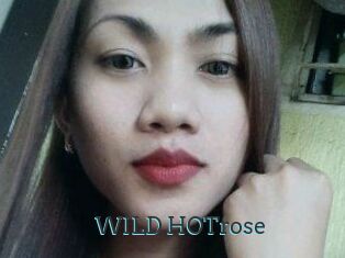 WILD_HOTrose