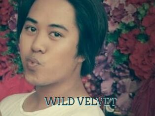WILD_VELVET
