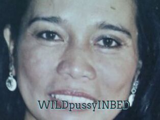 WILDpussyINBED