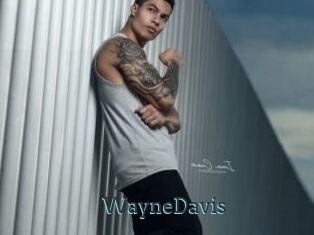 WayneDavis