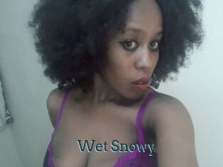 Wet_Snowy