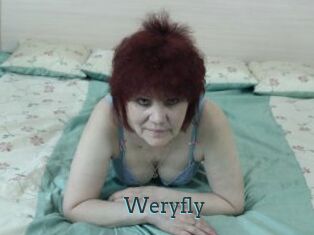 Weryfly